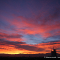 0401_rosso_6958