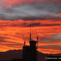0401_rosso_6959