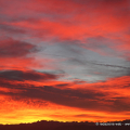 0401_rosso_6972