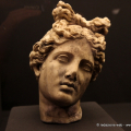Testa di Artemide