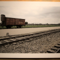 Birkenau, vagone memoriale sulla judenrampe