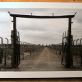Birkenau, il settore f8