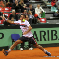 Ivan Dodig