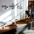 Tiktaalik