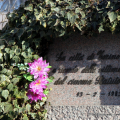 Cimitero Parco: la città di Torino a ricordo delle vittime del cinema Statuto