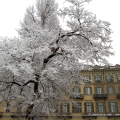 Piazza Carlo Felice