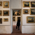 Il nuovo percorso di visita del piano nobile della Reggia