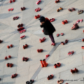 0203_rosse_7691