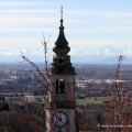 Primi segnali della primavera. Cavoretto