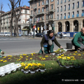 Le aiuole del Servizio Verde Gestione