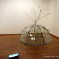 Mario Merz: che fare? - Igloo con albero