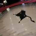 Il toro del foyer del Toro