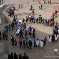 1204_insed_3685