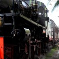 2504_tjftreno_5840