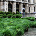 L’allestimento della Expédition végétale curato dal Servizio Verde Gestione della Città di Torino
