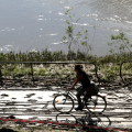 Sotto il ponte Balbis