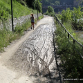 Viale Stefano Turr