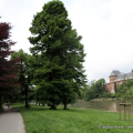 2105_spazpubb_1158
