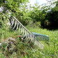 2105_spazpubb_1170