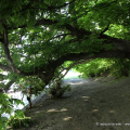 2105_spazpubb_1243