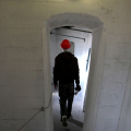 2205_mole_1358