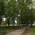 3105_wiesenthal_2554