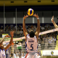 1406_volley_5243