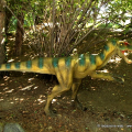 Velociraptor