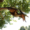 Pterosauro