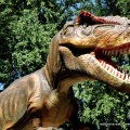 Tyrannusaurus Rex