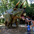 Triceratops Horridus