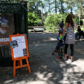 Dinosauri al Parco Michelotti