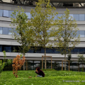 Il Campus Einaudi