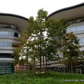 Il Campus Einaudi