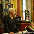 L\'intervento di Domenica Genisio