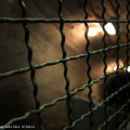 2104_risorgimento_3244