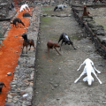 Velasco VITALI, Branco, 2005/2013