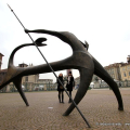 Giuseppe MARANIELLO, Il gatto dorme rotondo, 2009