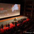 31 TFF
