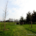 Gli alberi in memoria dei tanti Giusti del Piemonte che a rischio delle proprie vite