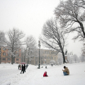 Giardini Cavour