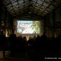 Cinema al Mercato