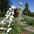 Giardino roccioso, Parco del Valentino