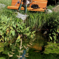 Giardino roccioso, Parco del Valentino