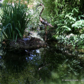Giardino roccioso, Parco del Valentino