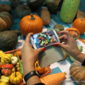 I prodotti dell\'Arca del Gusto