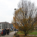Giardino Vittime di femminicidio