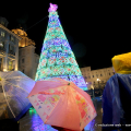 L\'Albero di Natale in piazza Castello