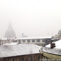neve-003
