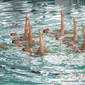 Finale a squadre